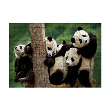 Cakapuzzle Sevimli Panda Yavruları 120 Parça Ahşap Puzzle