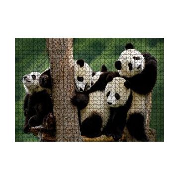 Cakapuzzle Sevimli Panda Yavruları 120 Parça Ahşap Puzzle