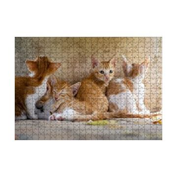 Cakapuzzle Sevimli Sarman Yavruları 120 Parça Ahşap Puzzle