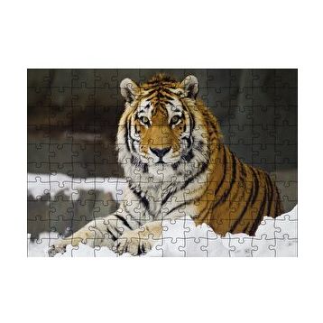 Cakapuzzle Sibirya Kaplanı 120 Parça Ahşap Puzzle