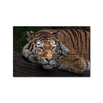 Cakapuzzle Sibirya Kaplanı Dalda Dinleniyor 120 Parça Ahşap Puzzle