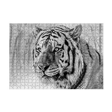 Cakapuzzle Sibirya Kaplanı Siyah Beyaz Yakın Çekim 120 Parça Ahşap Puzzle