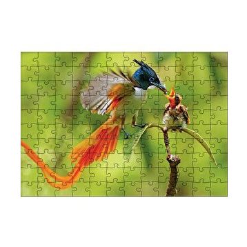 Cakapuzzle Sinekkapan Kuşu Yavrusunu Besliyor 120 Parça Ahşap Puzzle