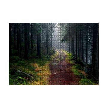 Cakapuzzle Sisli Ormandaki Patika 120 Parça Ahşap Puzzle