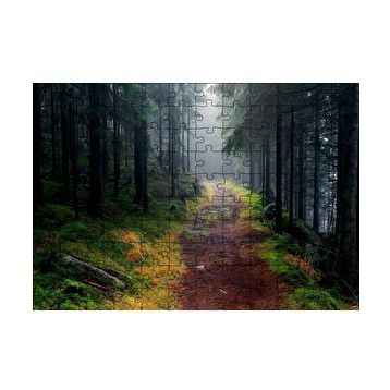 Cakapuzzle Sisli Ormandaki Patika 120 Parça Ahşap Puzzle