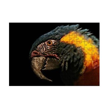 Cakapuzzle Siyah Arkaplan Turuncu Siyah Macaw 120 Parça Ahşap Puzzle