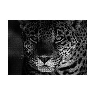 Cakapuzzle Siyah Beyaz Jaguar 120 Parça Ahşap Puzzle