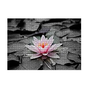 Cakapuzzle Siyah Beyaz Lotus Yaprakları ve Pembe Nilüfer Çiçeği 120 Parça Ahşap Puzzle