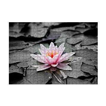 Cakapuzzle Siyah Beyaz Lotus Yaprakları ve Pembe Nilüfer Çiçeği 120 Parça Ahşap Puzzle