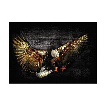 Cakapuzzle Siyah Zeminde Kartal Puzzle