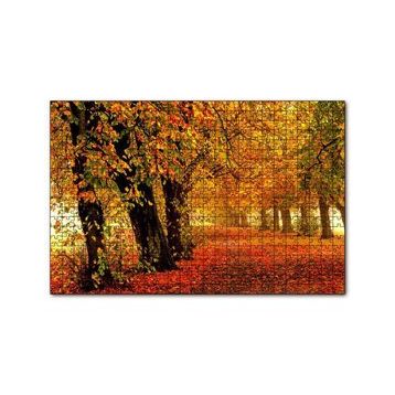 Cakapuzzle Sonbahar Orman Yolu ve Yapraklar 120 Parça Ahşap Puzzle