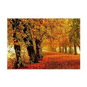 Cakapuzzle Sonbahar Orman Yolu ve Yapraklar 120 Parça Ahşap Puzzle