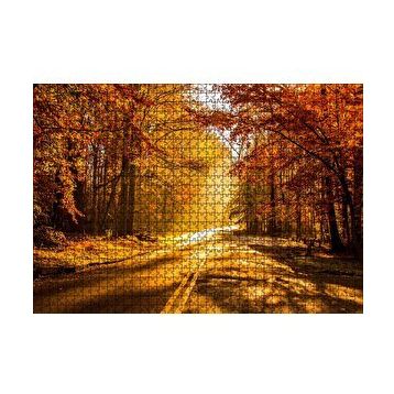 Cakapuzzle Sonbahar Ormandan Geçen Yol ve Güneş Işınları 255 Parça Puzzle