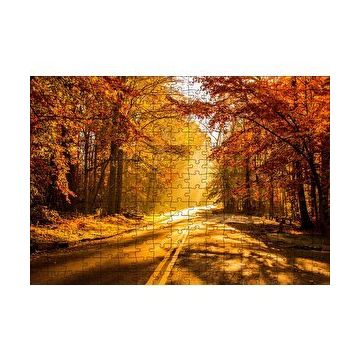 Cakapuzzle Sonbahar Ormandan Geçen Yol ve Güneş Işınları 255 Parça Puzzle