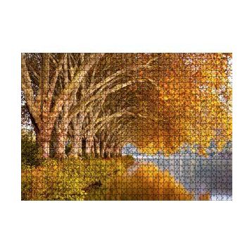 Cakapuzzle Sonbahar Rengi Ağaçlar ve Durgun Göl 120 Parça Ahşap Puzzle