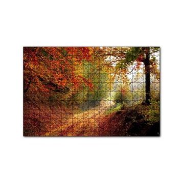 Cakapuzzle Sonbahar Renkleri Yapraklar ve Ormandaki Patika 120 Parça Ahşap Puzzle