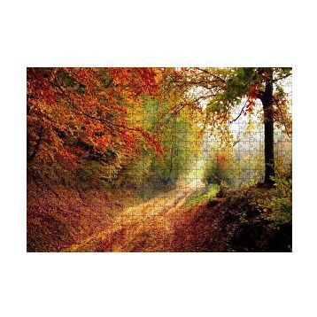 Cakapuzzle Sonbahar Renkleri Yapraklar ve Ormandaki Patika 120 Parça Ahşap Puzzle