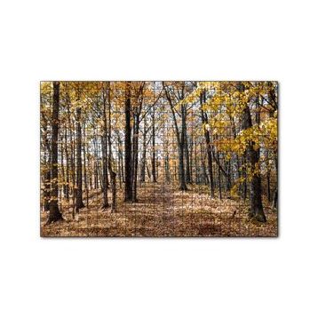 Cakapuzzle Sonbahar Renklerinde Orman 120 Parça Ahşap Puzzle