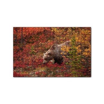 Cakapuzzle Sonbahar Renkli Ormandaki Boz Ayı 120 Parça Ahşap Puzzle