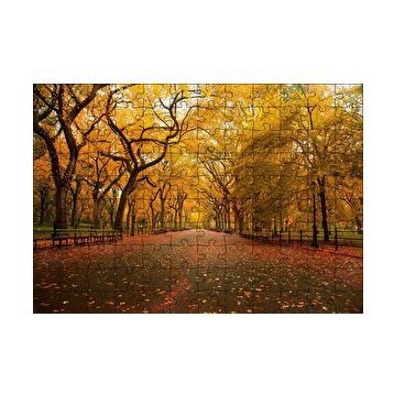 Cakapuzzle Sonbahar Sarı Kızıl Yapraklar Ağaçlı Yol 120 Parça Ahşap Puzzle