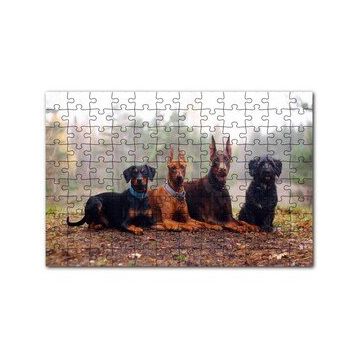 Cakapuzzle Sonbahar Yaprakları Üzerindeki 4 Köpek 120 Parça Ahşap Puzzle