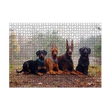 Cakapuzzle Sonbahar Yaprakları Üzerindeki 4 Köpek 120 Parça Ahşap Puzzle