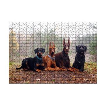 Cakapuzzle Sonbahar Yaprakları Üzerindeki 4 Köpek 120 Parça Ahşap Puzzle