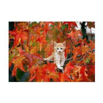 Cakapuzzle Sonbaharda Çınar Yaprakları Arasındaki Yavru Kedi 120 Parça Ahşap Puzzle