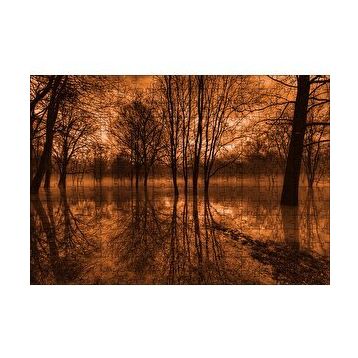 Cakapuzzle Sonbaharda Kızıl Gökler ve Çıplak Ağaçlar 120 Parça Ahşap Puzzle