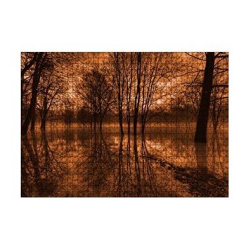 Cakapuzzle Sonbaharda Kızıl Gökler ve Çıplak Ağaçlar 120 Parça Ahşap Puzzle
