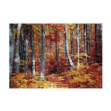 Cakapuzzle Sonbaharda Orman 120 Parça Ahşap Puzzle
