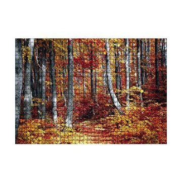 Cakapuzzle Sonbaharda Orman 120 Parça Ahşap Puzzle