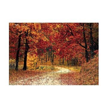 Cakapuzzle Sonbaharda Orman Görseli 120 Parça Ahşap Puzzle