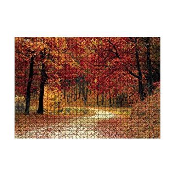Cakapuzzle Sonbaharda Orman Görseli 120 Parça Ahşap Puzzle