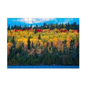 Cakapuzzle Sonbaharın Tüm Renkleri 120 Parça Ahşap Puzzle