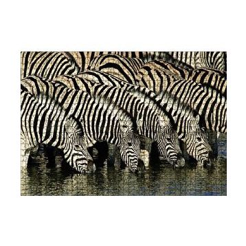 Cakapuzzle Su İçen Zebra Sürüsü Görseli 120 Parça Ahşap Puzzle