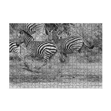 Cakapuzzle Su Kenarında Kaçan Zebralar Siyah Beyaz 120 Parça Ahşap Puzzle