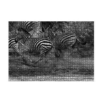Cakapuzzle Su Kenarında Kaçan Zebralar Siyah Beyaz 120 Parça Ahşap Puzzle