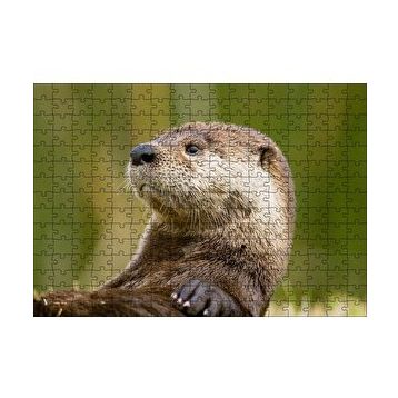 Cakapuzzle Su Samuru Yakın Plan 120 Parça Ahşap Puzzle