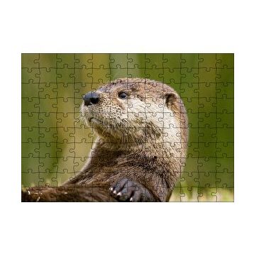 Cakapuzzle Su Samuru Yakın Plan 120 Parça Ahşap Puzzle