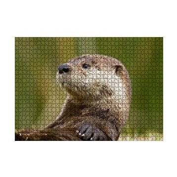 Cakapuzzle Su Samuru Yakın Plan 120 Parça Ahşap Puzzle