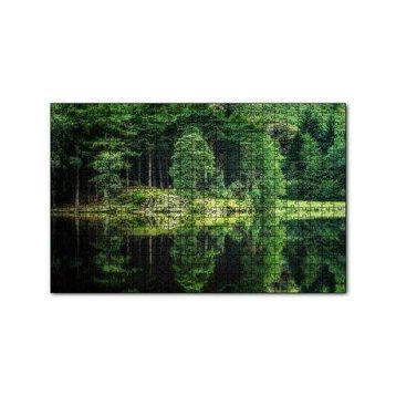 Cakapuzzle Su ve Yeşilin İnanılmaz Buluşması 120 Parça Ahşap Puzzle