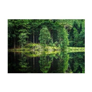Cakapuzzle Su ve Yeşilin İnanılmaz Buluşması 120 Parça Ahşap Puzzle