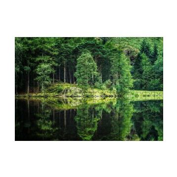 Cakapuzzle Su ve Yeşilin İnanılmaz Buluşması 120 Parça Ahşap Puzzle