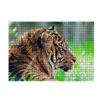 Cakapuzzle Sumatra Kaplanı Yakın Plan 120 Parça Ahşap Puzzle