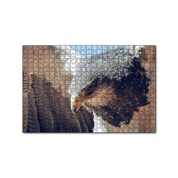 Cakapuzzle Süzülen Kartal Yakın Plan Puzzle