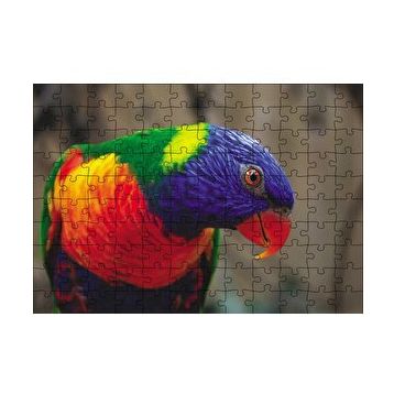 Cakapuzzle Swainson Papağanı Yakın Çekim 120 Parça Ahşap Puzzle