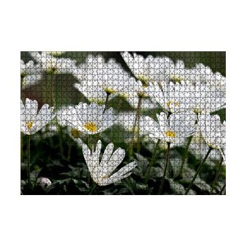 Cakapuzzle Taçlı Beyaz Dağ Laleleri Yakın Çekim 120 Parça Ahşap Puzzle