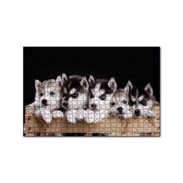 Cakapuzzle Tahta Kasa İçinde Beş Husky Yavrusu 120 Parça Ahşap Puzzle