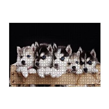 Cakapuzzle Tahta Kasa İçinde Beş Husky Yavrusu 120 Parça Ahşap Puzzle